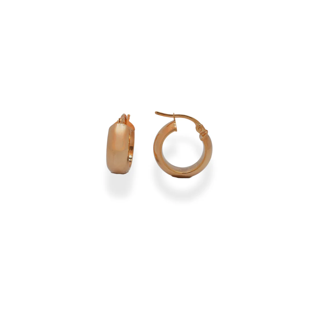 9ct gold earrings