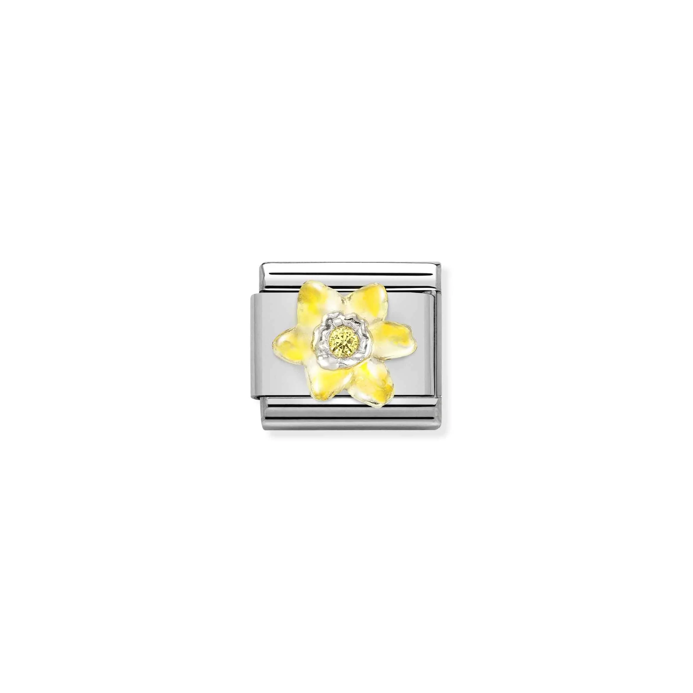 Daffodil